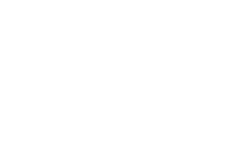 Turtle Wax